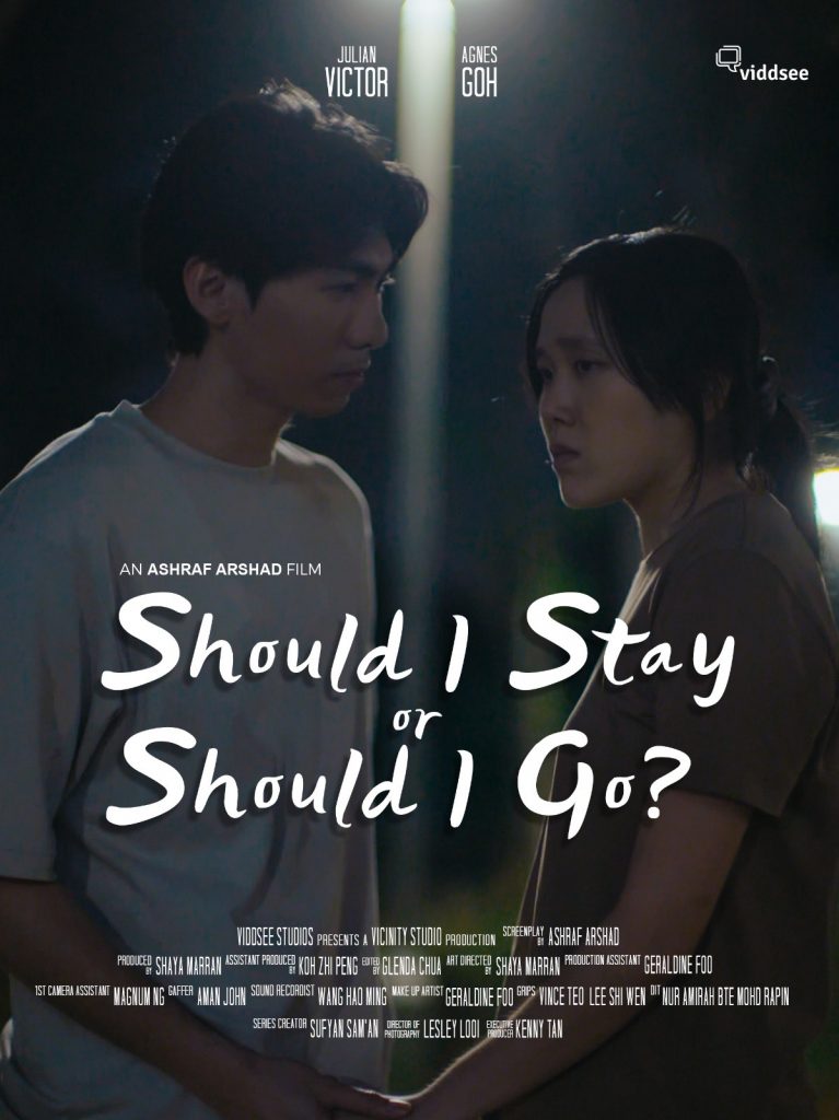 "Should I Stay or Should I Go?", film poster